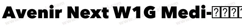Avenir Next W1G Medi字体转换